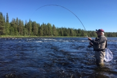 Fly_Fishing