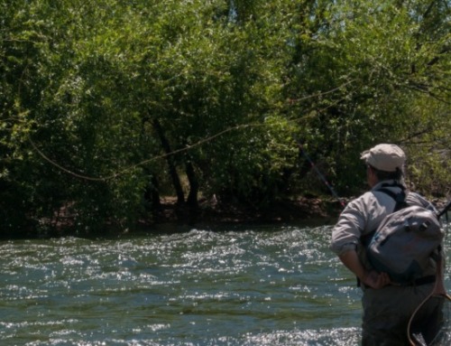 Article: Tenkara Patagonia – Dry PL Technique Experiments